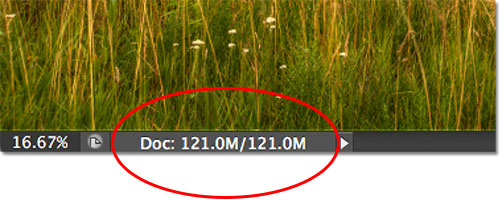 The current file size of the image as displayed in the document window. Image © 2012 Steve Patterson, Photoshop Essentials.com