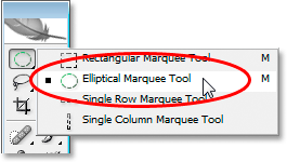 Selecting the Elliptical Marquee Tool from the Tools palette
