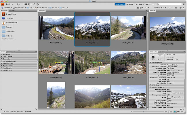 Adobe Bridge CS4 displaying the downloaded images. Image © 2010 Photoshop Essentials.com.