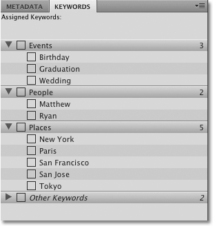 The Keywords panel in Adobe Bridge CS4 Preferences. Image © 2010 Photoshop Essentials.com.