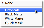 Choosing Grayscale from the Selection Preview option at the bottom of the Color Range dialog box. Image © 2012 Photoshop Essentials.com