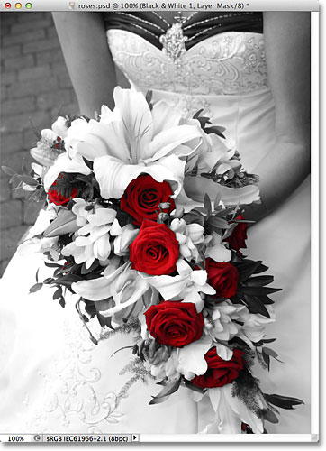 Color roses against a black and white image. Image © 2012 Photoshop Essentials.com
