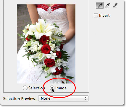 Switching between the Image and Selection options in the Color Range dialog box. Image © 2012 Photoshop Essentials.com
