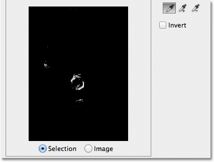 An initial selection preview appears in the preview window. Image © 2012 Photoshop Essentials.com