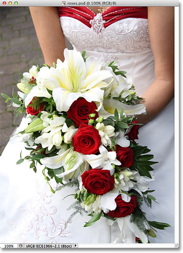 A bride holding a bouquet with red roses. Image © 2012 Photoshop Essentials.com