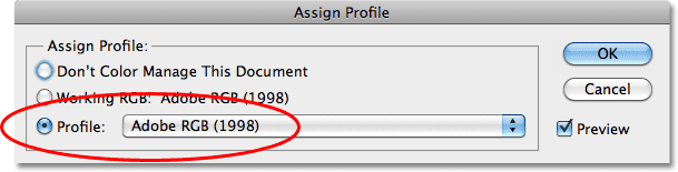 The Assign Profile dialog box in Photoshop. Image © 2010 Photoshop Essentials.com.