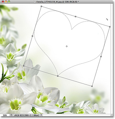 Rotating a shape with the Free Transform Path command in Photoshop. Image © 2011 Photoshop Essentials.com