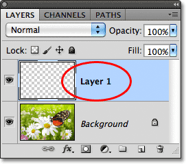 A new layer named Layer 1 appears in the Layers panel. Image © 2011 Photoshop Essentials.com
