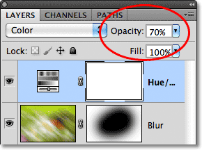 The layer opacity option in the Layers panel. Image © 2011 Photoshop Essentials.com