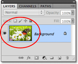 The preview thumbnail in the Layers panel in Photoshop. Image © 2011 Photoshop Essentials.com