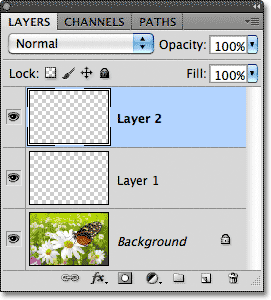 A new layer named Layer 2 appears in the Layers panel. Image © 2011 Photoshop Essentials.com