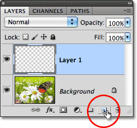 Clicking a second time on the New Layer icon. Image © 2011 Photoshop Essentials.com