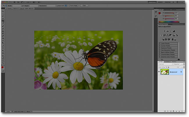 The Layers panel in the Photoshop CS5 interface. Image © 2011 Photoshop Essentials.com