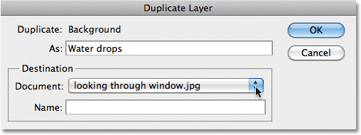 Photoshop Duplicate Layer dialog box. Image © 2011 Photoshop Essentials.com