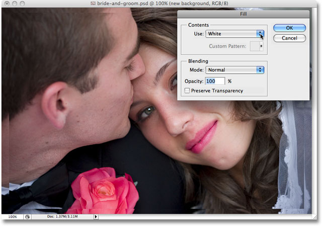 The Fill dialog box appears when Photoshop reaches the first Fill step. Image copyright © 2008 Photoshop Essentials.com