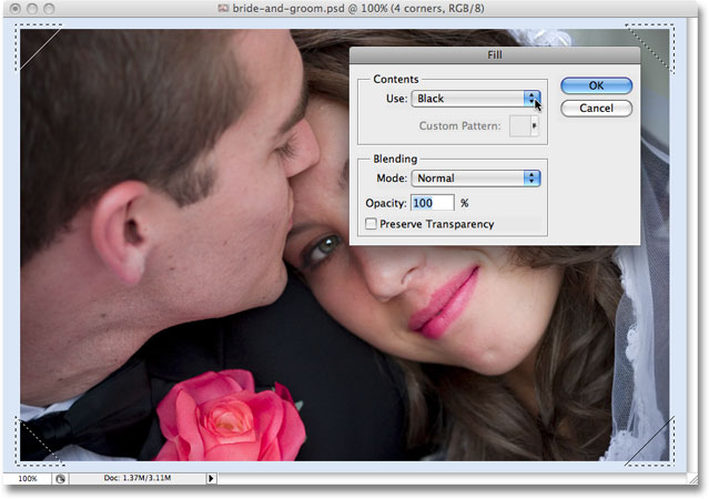 The Fill dialog box opens once again when Photoshop reaches the second Fill step in the action. Image copyright © 2008 Photoshop Essentials.com