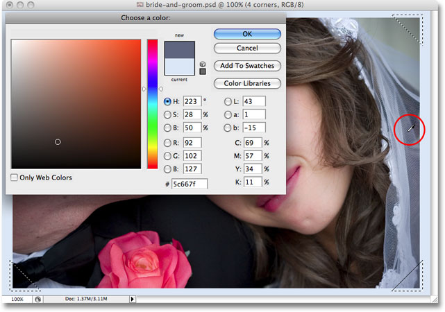 Sampling a color from the image to use as the photo corners in the frame effect. Image copyright © 2008 Photoshop Essentials.com