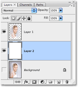 The Layers palette in Photoshop after running the Vignette action. Image copyright © 2008 Photoshop Essentials.com
