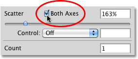 Selecting the Both Axes option in the Brushes panel in Photoshop. Image © 2010 Photoshop Essentials.com