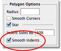 The Smooth Indents option in the Polygon Options in Photoshop. Image © 2011 Photoshop Essentials.com