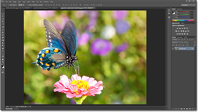 Three photos opened as tabbed documents in Photoshop CS6. Image licensed from Shutterstock by Photoshop Essentials.com