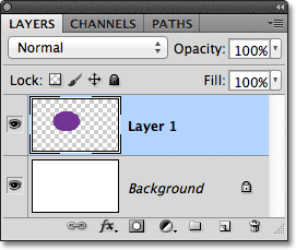 A pixel shape drawn on Layer 1. Image © 2011 Photoshop Essentials.com