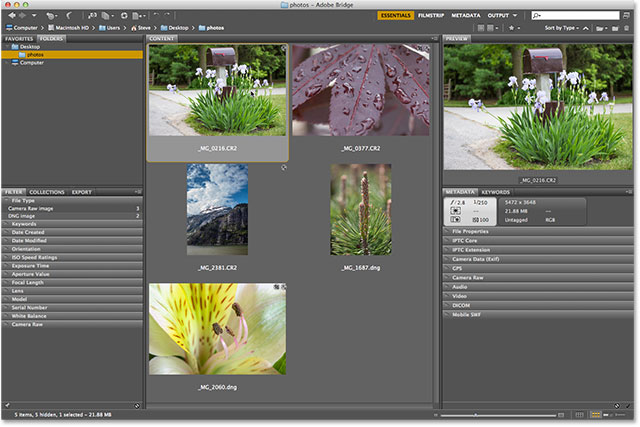 Selecting a photo to open in Camera Raw using Adobe Bridge CS6. Image © 2013 Photoshop Essentials.com
