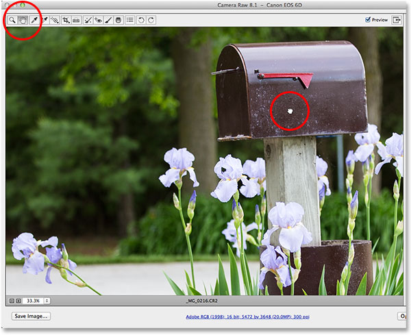 Selecting and using the Hand Tool in Camera Raw. Image © 2013 Photoshop Essentials.com