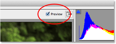 The Preview option in Camera Raw. Image © 2013 Photoshop Essentials.com