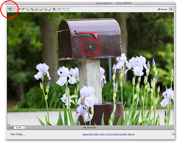 Selecting and using the Zoom Tool in Camera Raw. Image © 2013 Photoshop Essentials.com