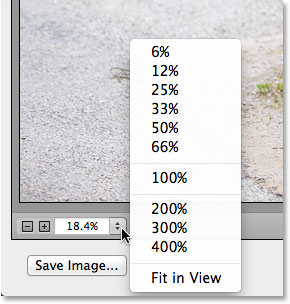 The Zoom options, including zoom presets, in the lower left of the Camera Raw dialog box. Image © 2013 Photoshop Essentials.com