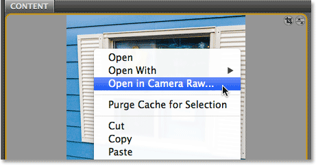 Choosing Open in Camera Raw from the sub-menu. Image © 2013 Steve Patterson, Photoshop Essentials.com