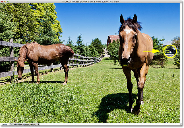 Clicking and dragging to brighten the horse. Image © 2012 Photoshop Essentials.com