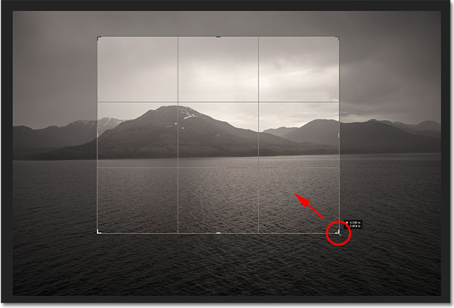 Click and drag the handles to resize the crop box. Image © 2012 Photoshop Essentials.com