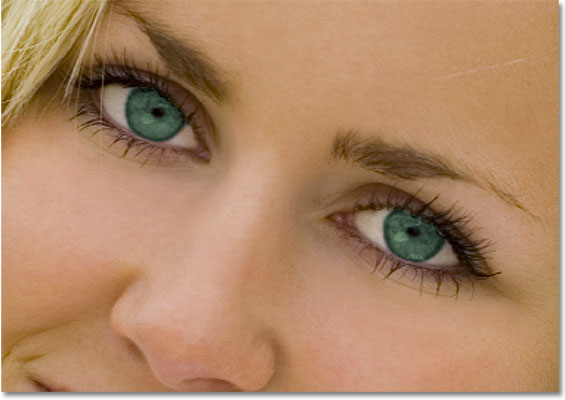 The eyes now appear green after changing their color in Photoshop. Image © 2010 Photoshop Essentials.com