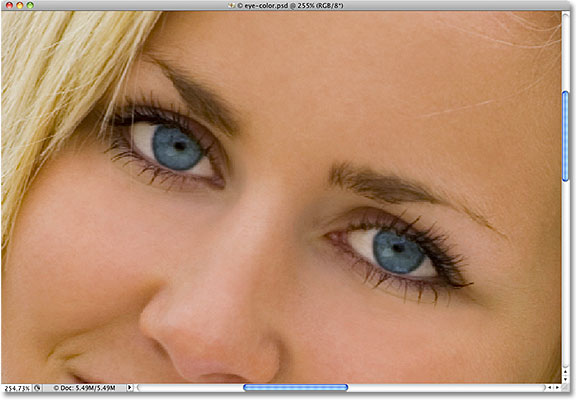 Zooming in on the eyes in Photoshop. Image © 2010 Photoshop Essentials.com