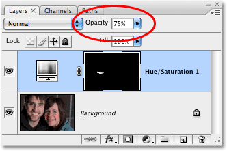 Lowering the opacity of the adjustment layer in Photoshop. Image © 2008 Photoshop Essentials.com.