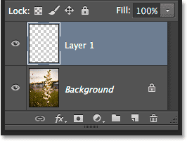 A new blank layer has been added. Image © 2014 Photoshop Essentials.com