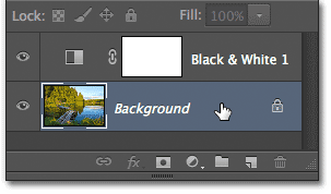 Selecting the Background layer in the Layers panel. Image © 2012 Photoshop Essentials.com.