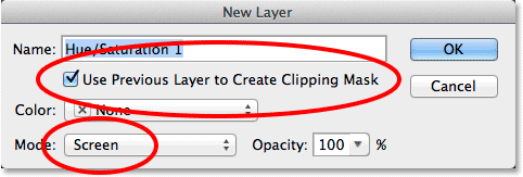 Selecting the Use Previous Layer to Create Clipping Mask option. Image © 2011 Photoshop Essentials.com.