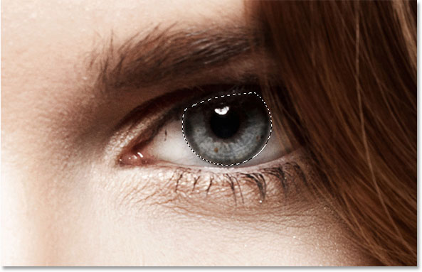 The right iris is now selected. Image © 2014 Photoshop Essentials.com.
