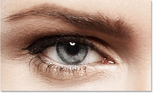 The iris and pupil inside the selection are now filled with noise. Image © 2014 Photoshop Essentials.com.