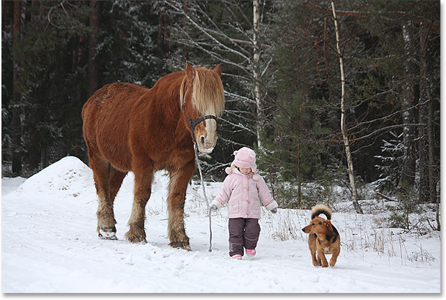 Cute little girl leading big draught horse and small dog by the forest in winter. Image 128681366 licensed from Shutterstock by Photoshop Essentials.com