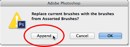 Appending the Assorted Brushes set to the default brushes in Photoshop. 