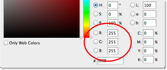 Choosing white for the type color in the Color Picker. 
