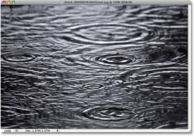 Raindrops creating water ripples on the surface. Image licensed from iStockphoto by Photoshop Essentials.com.