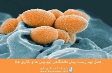 فصل نهم زیست پیش دانشگاهی (ویروس ها و باکتری ها)