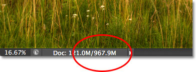 The document window in Photoshop showing the current file size. Image © 2012 Steve Patterson, Photoshop Essentials.com