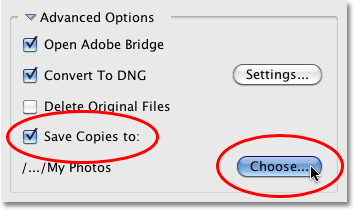 The Save Copies To option in the Photo Downloader in Bridge CS4. Image © 2010 Photoshop Essentials.com.