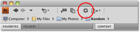 The Camera Raw icon in Adobe Bridge CS4. Image © 2010 Photoshop Essentials.com.